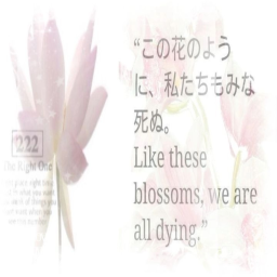𐔌՞. .՞𐦯