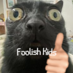 Foolish Kids