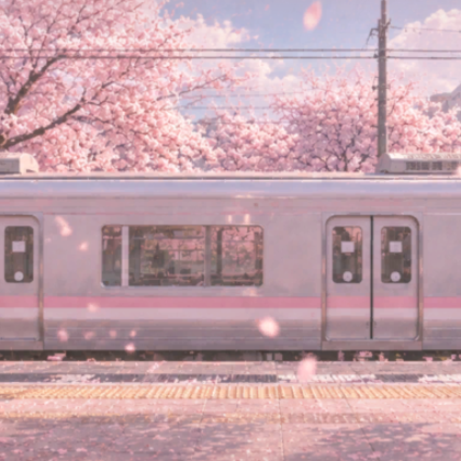 Pink Sakura Train Blossom Spring Anime Background
