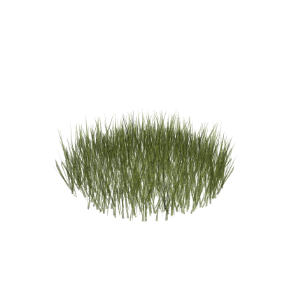 Grass (Virus Removed)