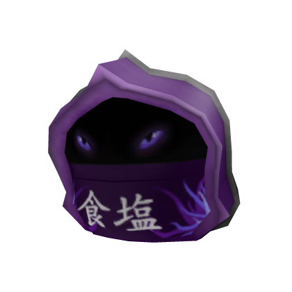Masked Hood of the Dark Age Ninja Master