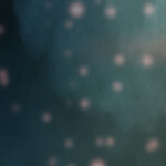 this experience is not in use anymore