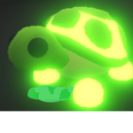 Administrator of Turtle Squad