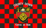 Struggle for County Down