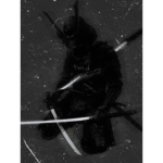 Order of Sword Brothers