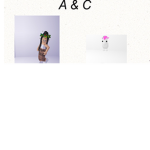 A&C Army