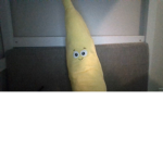 Bananas For Life!
