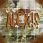 ALEX!S