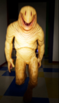 Tropinha do Deh
