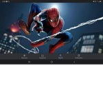 The spider cat group