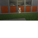 real rasftyo