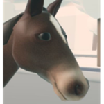 Professional Horse Family