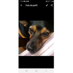 Pepêofc