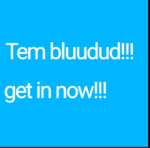 THE BLUUDUD TEAM