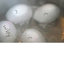 EGG