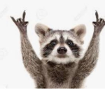 Raccoon Lounge