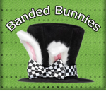Banded bunnies