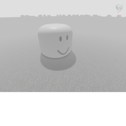 White Head Dimension