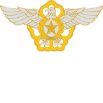 ROKAF || Air Force Military Police