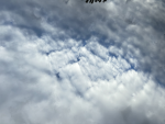NightSuny Army
