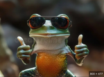 Cool Frog mafia