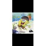 The drippy sponges
