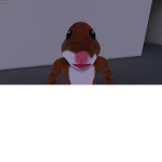 hamster donation fundation