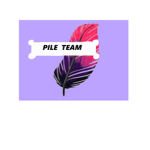 PILE TEAM GROUP