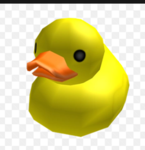 TEH EPIK DUCKIES