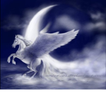 Heaven angel riding academy
