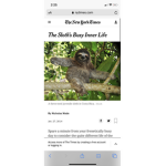 Love the sloths