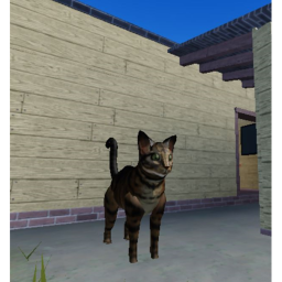 RUN FROM CAT