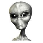 Alien raider