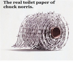 Chuck Norris Toilet Paper Fans.