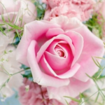 Flower Aesthetic
