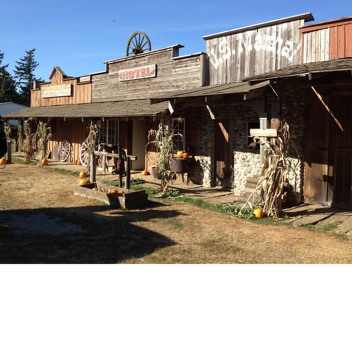 Strange! Western Combat