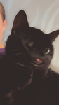 Jakes_groupy