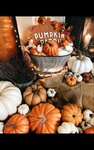 ~•{Pumpkins!}•~