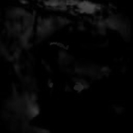 .The Shadow.