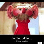 Dogiii