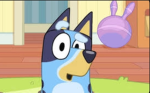 Bluey FanGroup+Hangout