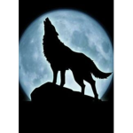 Wolf fan cluby