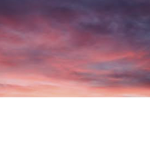 Rose Aesthetics Group