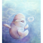 The Brotherhood of the Beluga
