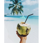 COCONUT TEAM!!!!