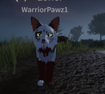 Warrior cats but with olive-