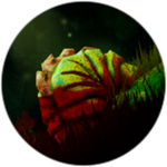 The Larvae