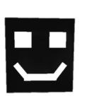 2024 Boxy
