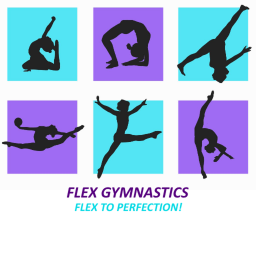 Flex Gymnastics Public Gym[UPDATE]