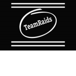 ~TeamOfRaids~